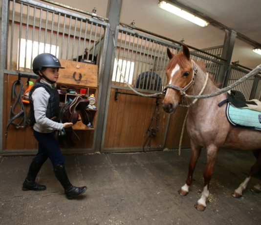 Výuka jízdy na koni pro děti, parkur, děti, pony, poník, dvůr Hoffmeister, Velké Čičovice, 8.4.2017,