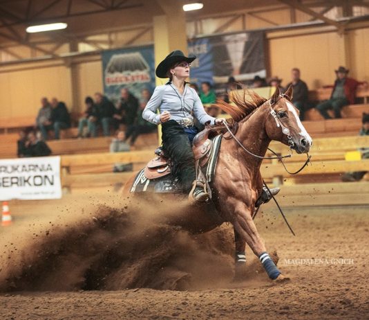 Brenda Lesniczaková - reining